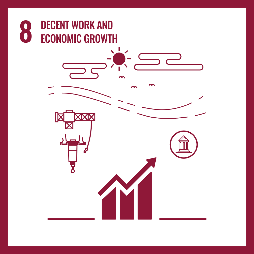SDG 8